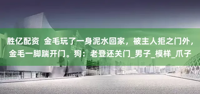 胜亿配资  金毛玩了一身泥水回家，被主人拒之门外，金毛一脚踹开门。狗：老登还关门_男子_模样_爪子
