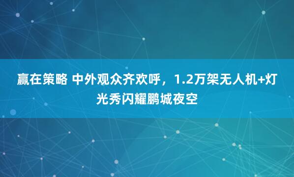 赢在策略 中外观众齐欢呼，1.2万架无人机+灯光秀闪耀鹏城夜空