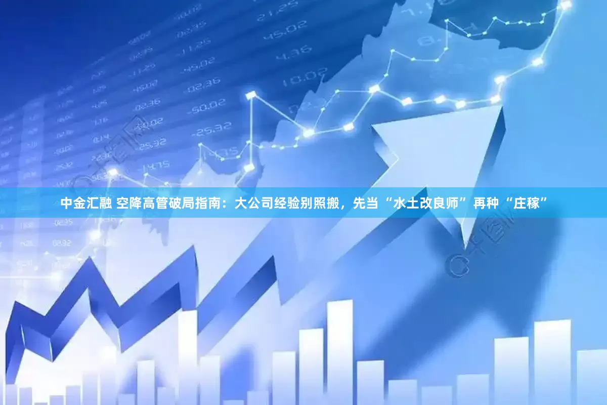 中金汇融 空降高管破局指南：大公司经验别照搬，先当 “水土改良师” 再种 “庄稼”